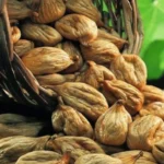 Aydın Dağ İnciri 800g– Doğal Güneşte Kurutulmuş