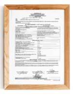 Doğal Kestane Balı – Yoğun Aromalı ve Değerli Bal - Görsel 7