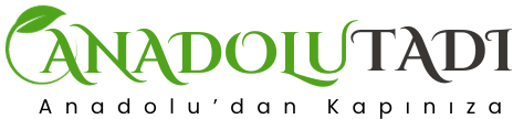 Anadolu Tadı Logo