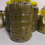 Salamura Yaprak 3Kg Bidon