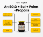 ari-sutu-bal-polen-propolis-ozellikleri